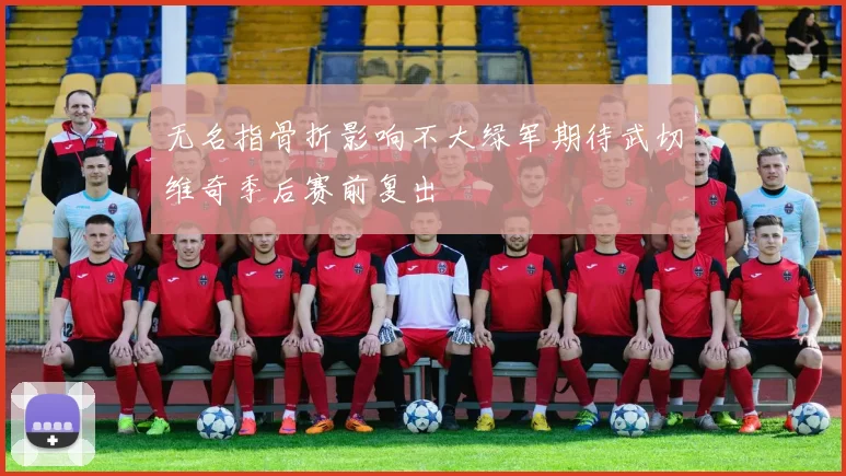 无名指骨折影响不大绿军期待武切维奇季后赛前复出